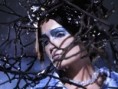 /album/tarja-turunen/a55-jpg/