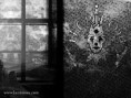 /album/wallpaper/wallpaper18-jpg/